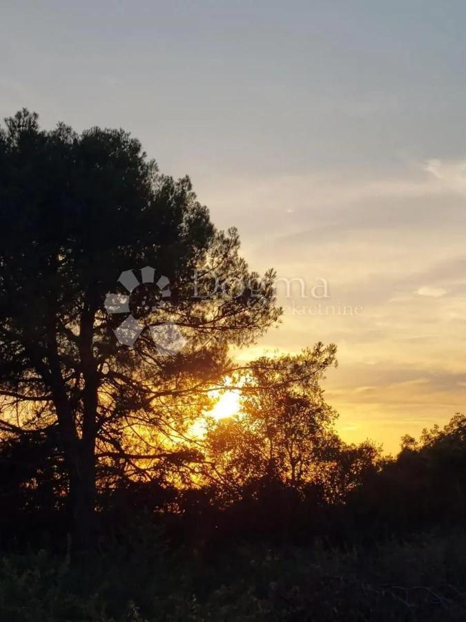 Appartamento Apartman Nada Ližnjan Esterno foto